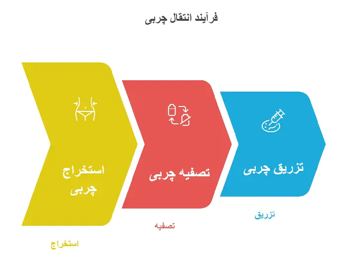ترنسفر چربی